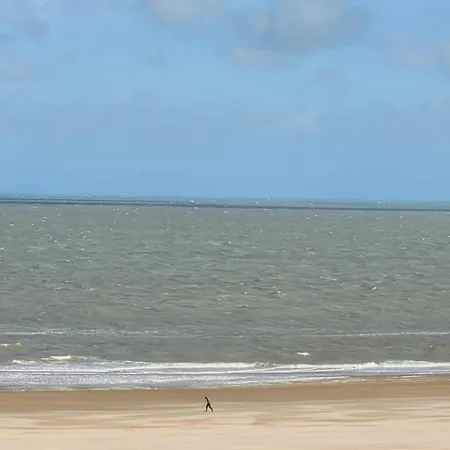 Near With Terrace 公寓 克诺克－海斯特