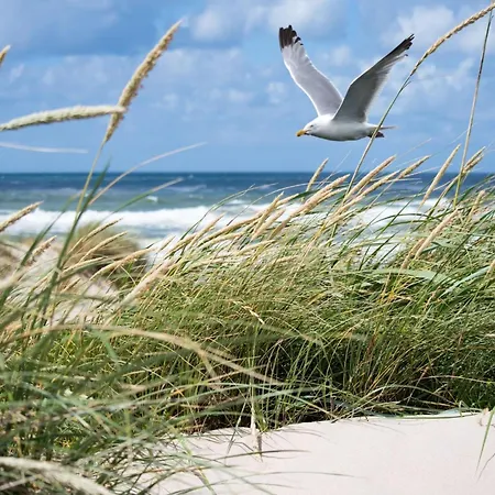 Near With Terrace 公寓 克诺克－海斯特