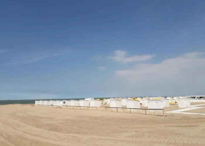 Near With Terrace 克诺克－海斯特