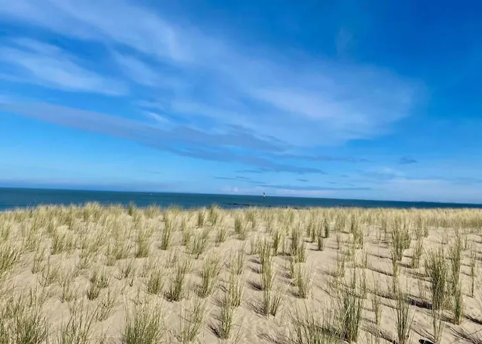 Near With Terrace 公寓 克诺克－海斯特