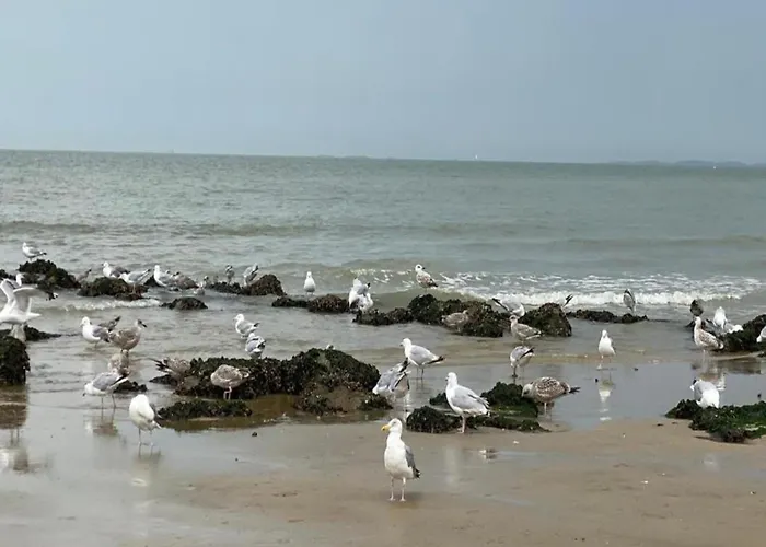 Near With Terrace * 克诺克－海斯特