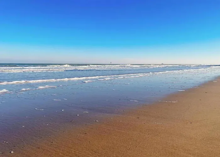 Near With Terrace 公寓