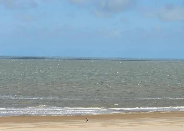 Near With Terrace 公寓 克诺克－海斯特