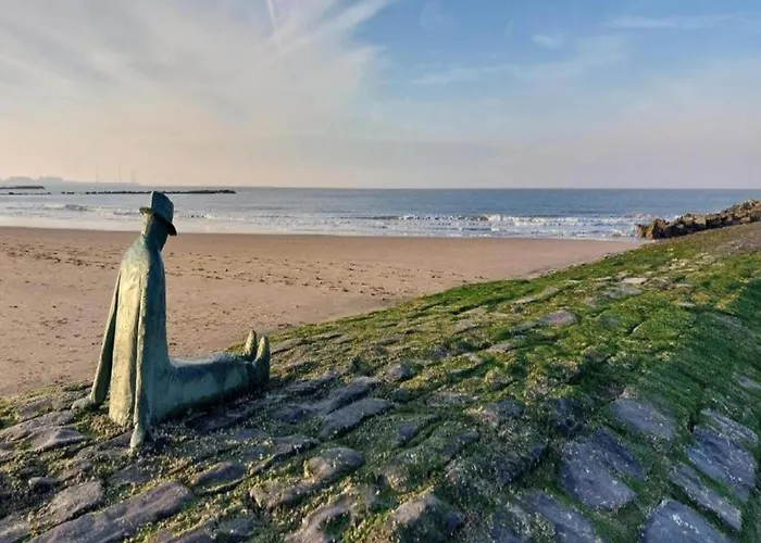 Near With Terrace * 克诺克－海斯特