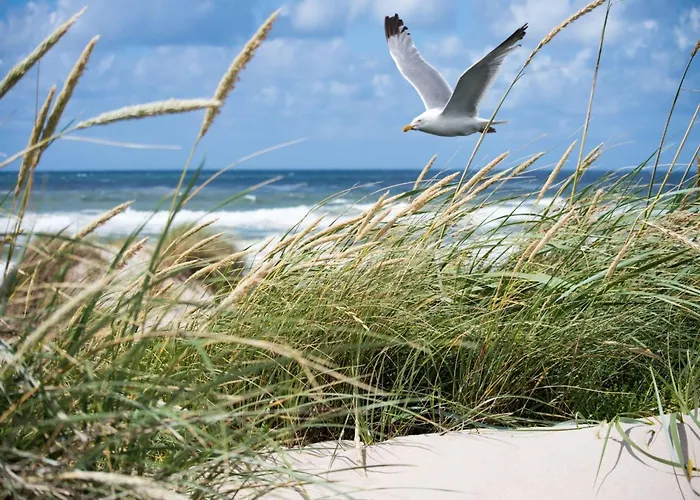 Near With Terrace 公寓 克诺克－海斯特